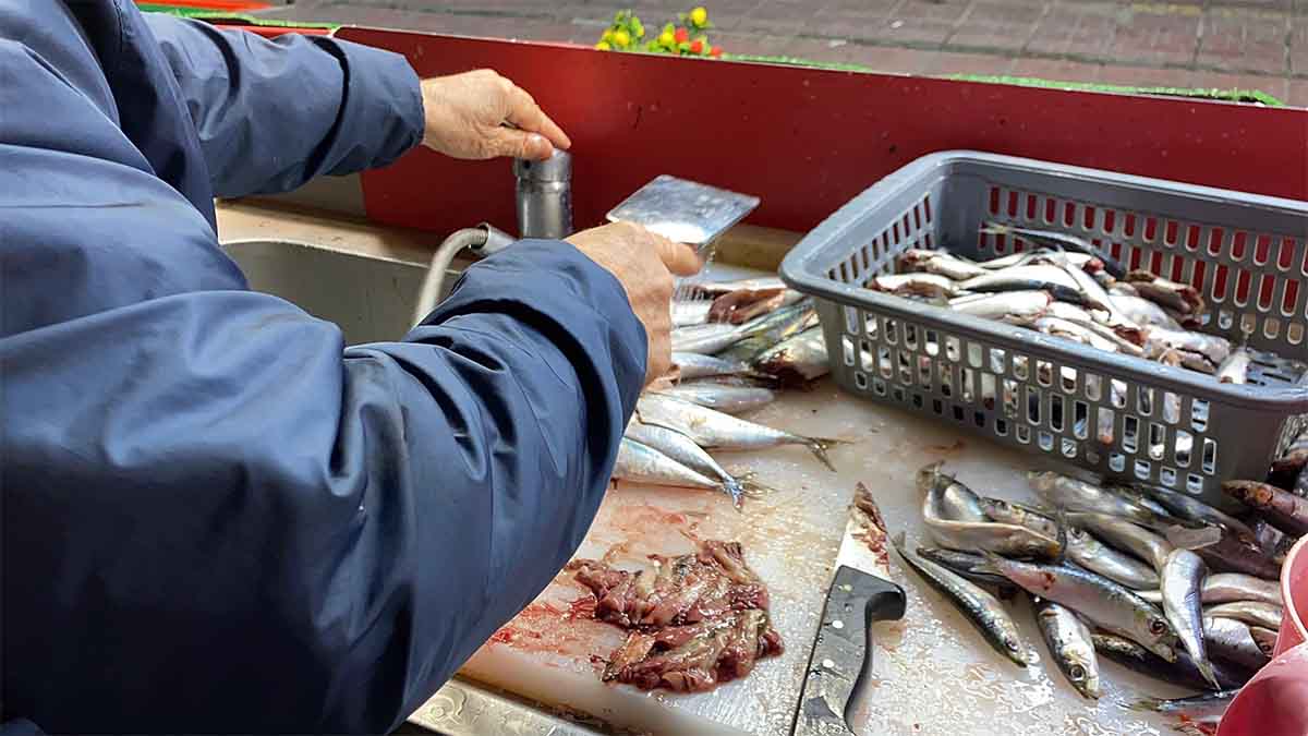 Gözden Balık Taze mi Bayat mı Anlaşılır mıTazelik, balığın gözüyle alakalı değildir