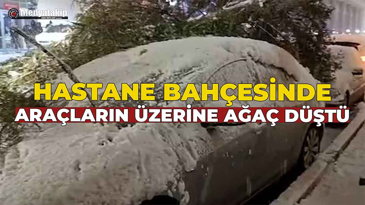 Hastane Bahçesinde Araçların Üzerine Ağaç Düştü