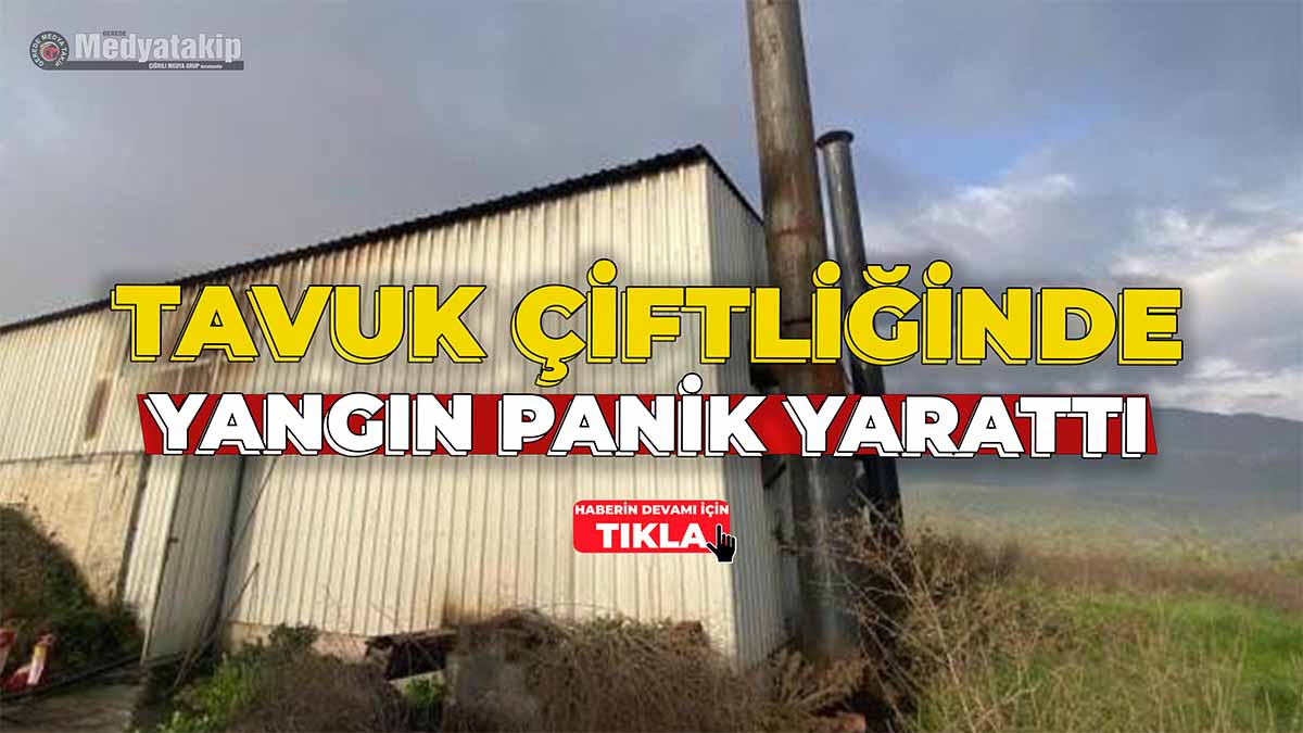 Tavuk Çiftliğinde Yangın Panik Yarattı
