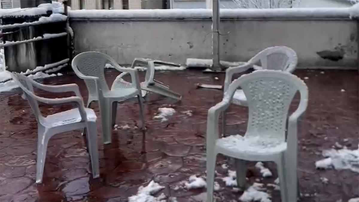 Vicdansızlık Pes Dedirtti