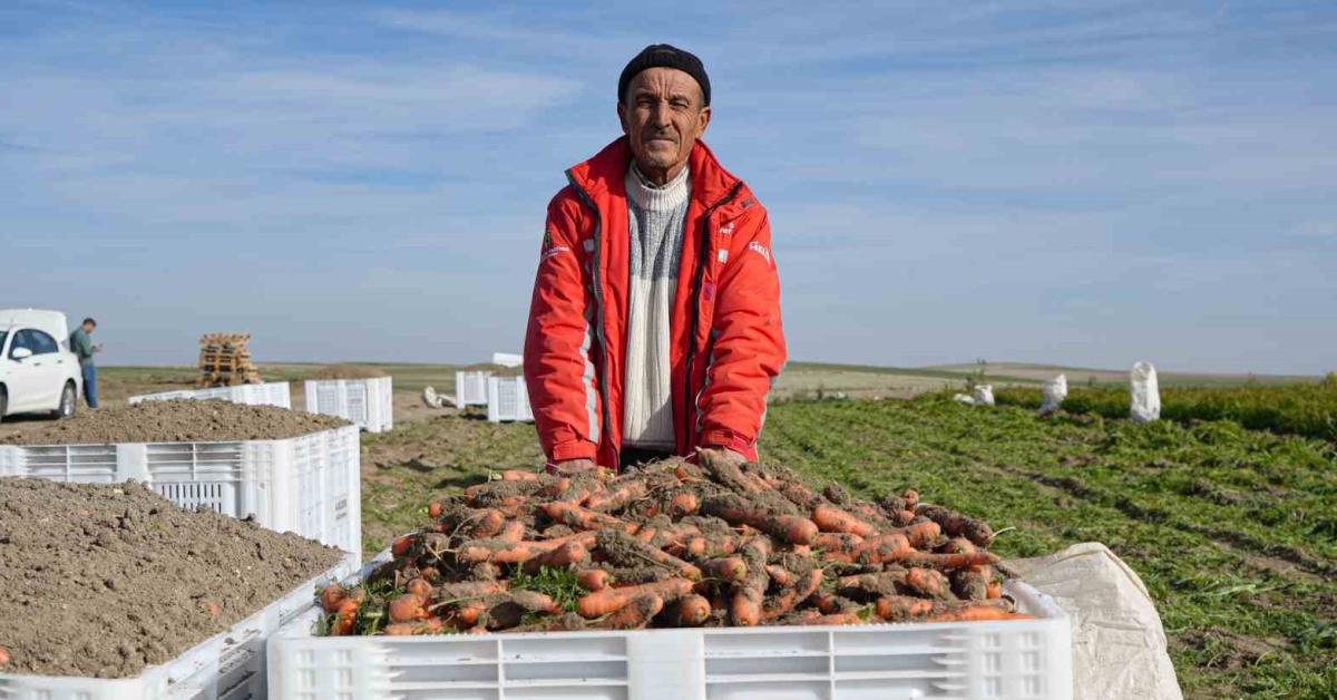 ankara beypazarinda havuclar icin hasat vakti geldi zCQClAJS.jpg