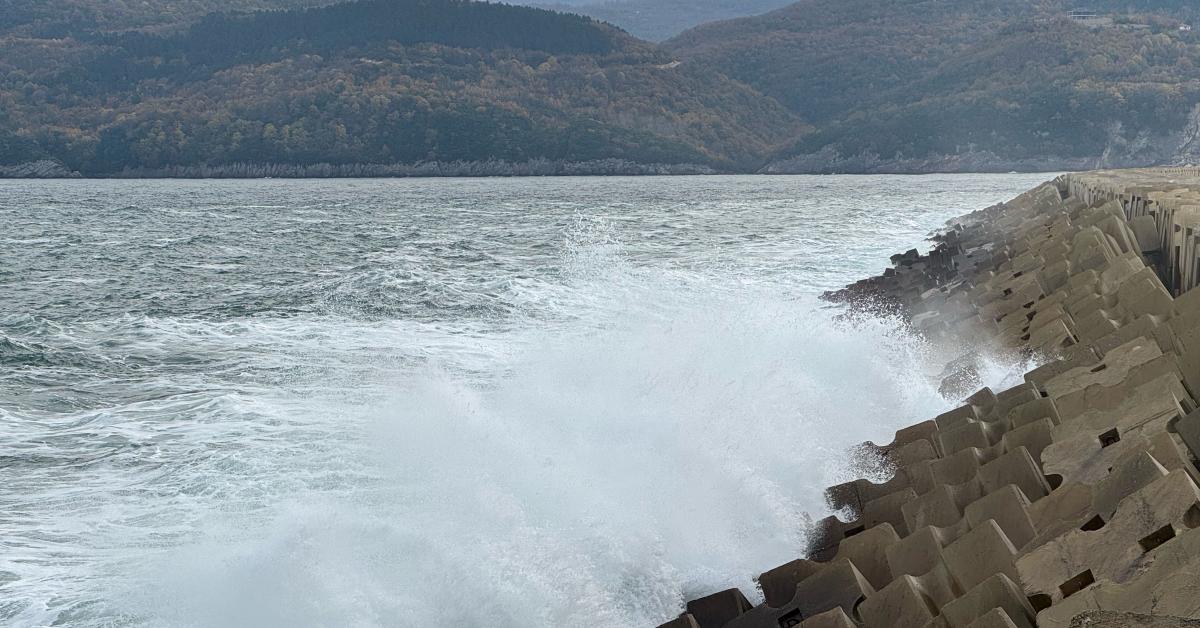 bartin amasrada siddetli ruzgar etkisini gosterdi bsaVbikA.jpg