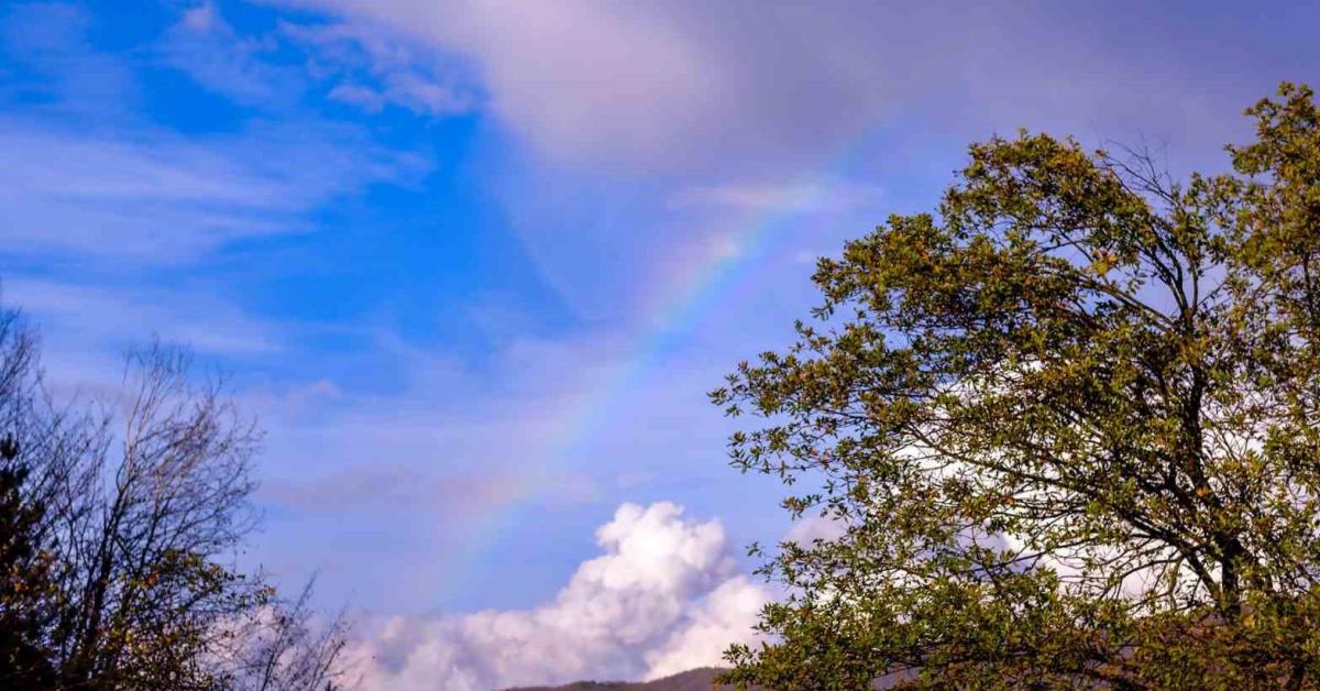 duzcede cikan gokkusagi goz kamastirdi 1VCPYdOF.jpg