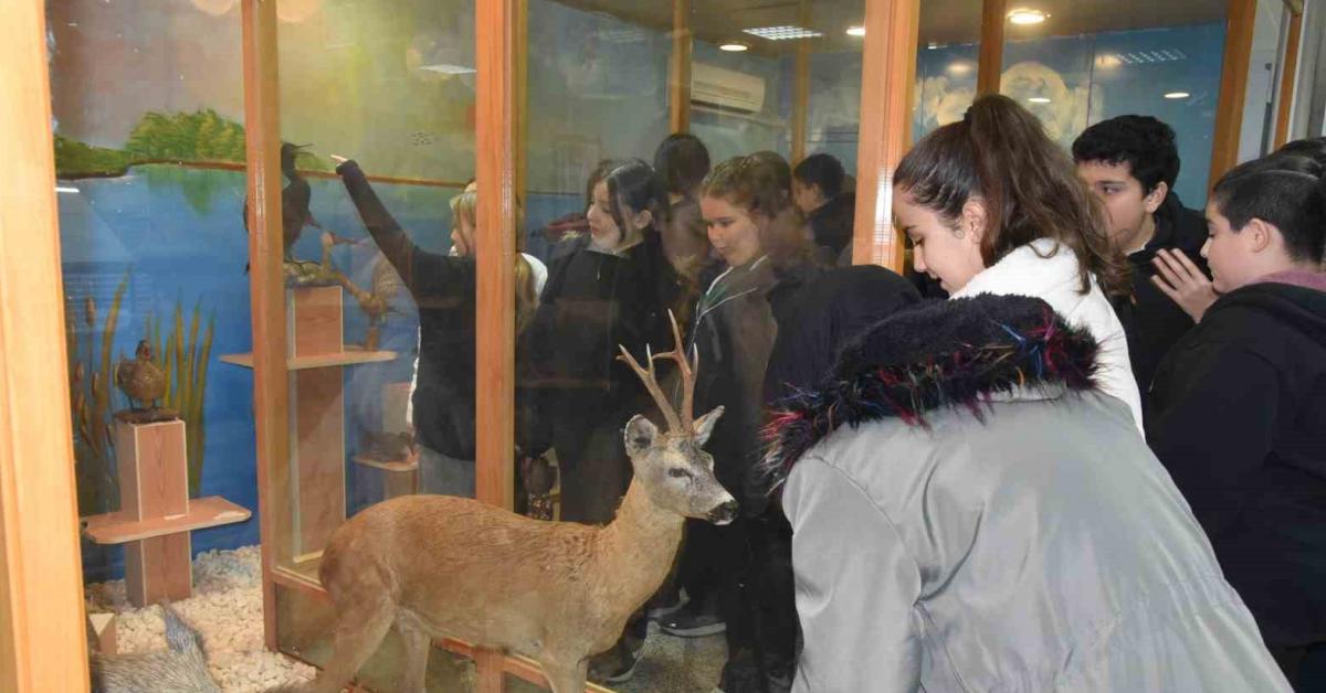 duzcede ortaokul ogrencileri dondurulmus hayvan muzesi ve botanik bahcesini gezdi FNwqdabD.jpg