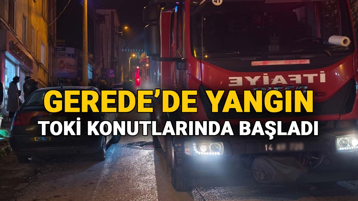 gerede toki yangın
