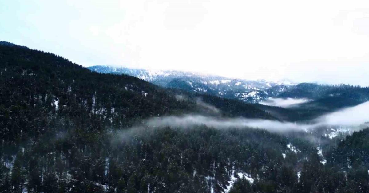 ilgaz daginda kar ve sis kartpostallik goruntuler olusturdu tpeDEhxD.jpg