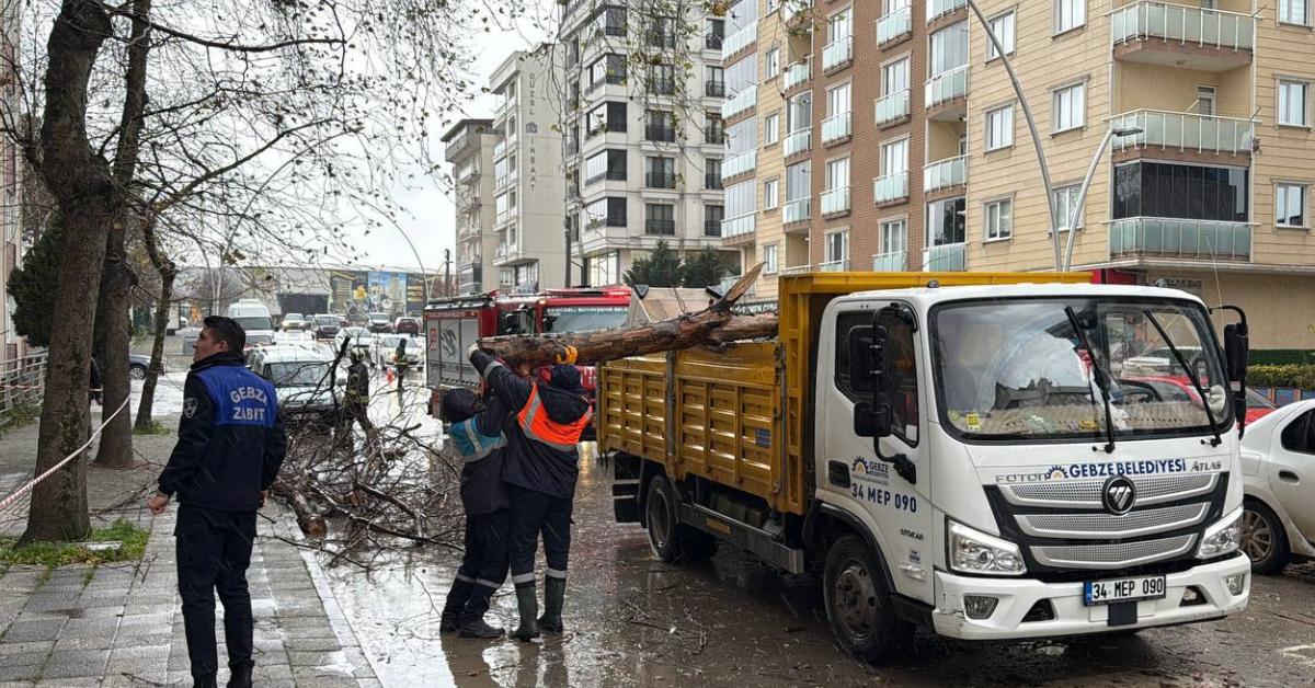 kocaeli gebzede ruzgar agac dallarini kopardi araclarsa hasar olustu RCzhGPOu.jpg