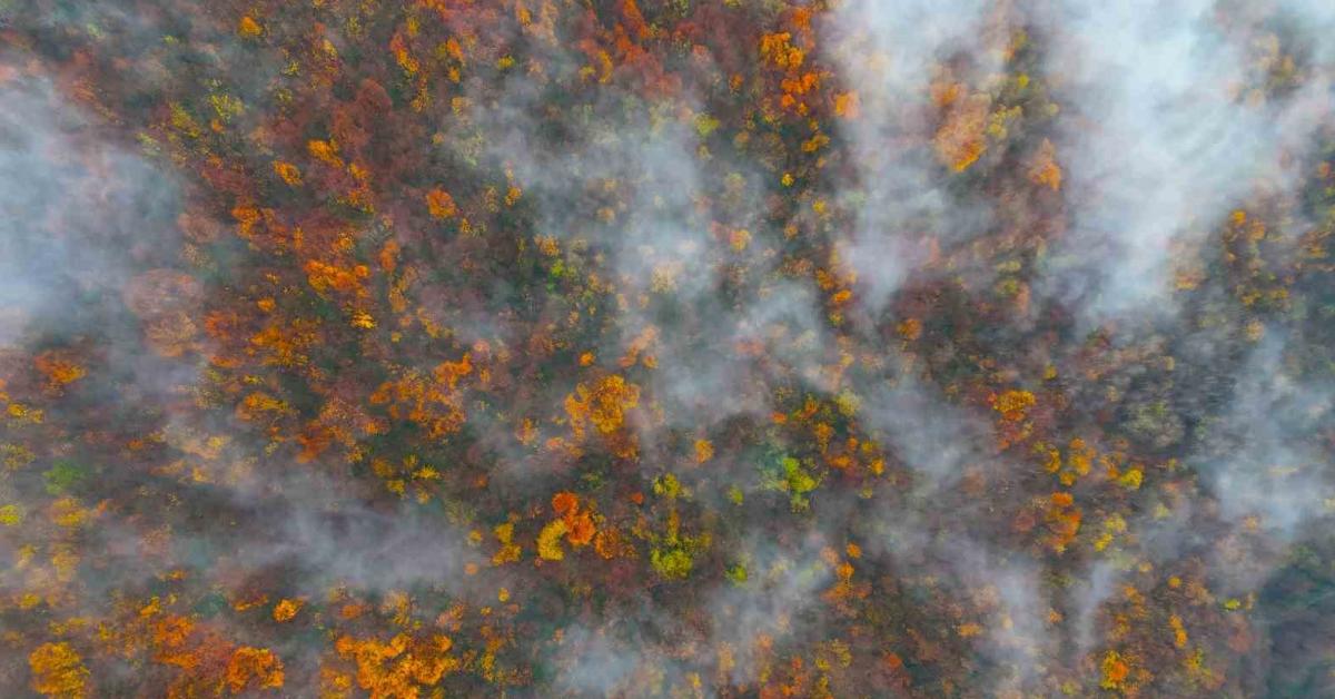 kocaelinin yuksek kesimlerde kartpostallik goruntuler ortaya cikti rpmXCy7Y.jpg