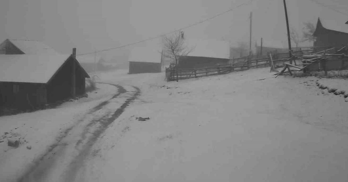 sakarya hendek yaylalari beyaza burundu T9bCNTlS.jpg