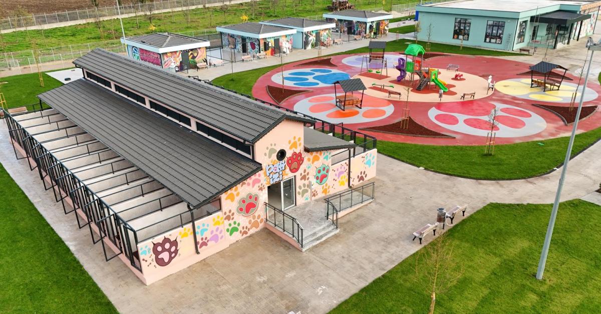 sakaryadaki sokak hayvanlarina mujde dogal yasam kampusu acildi iwwlSIPg.jpg