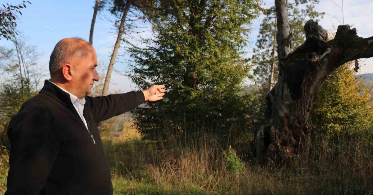 sakaryadaki tarihi mezarlik define avcilarinin kurbani oldu TiazSFuA.jpg