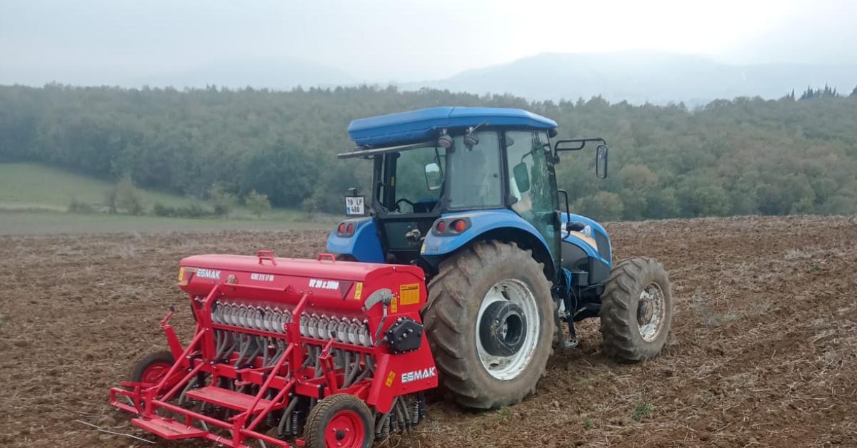 samsun 19 mayista altin daneler toprakla bulusuyor GDXCOlap.jpg