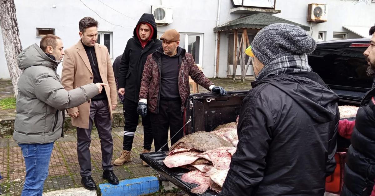 sinopta ucretsiz kalkan baligi dagitildi MT9cRUYn.jpg