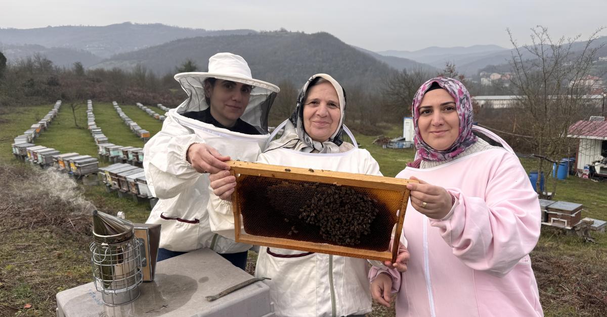 zonguldakta kestane bali uretiminde aile dayanismasi OBwr2BMl.jpg