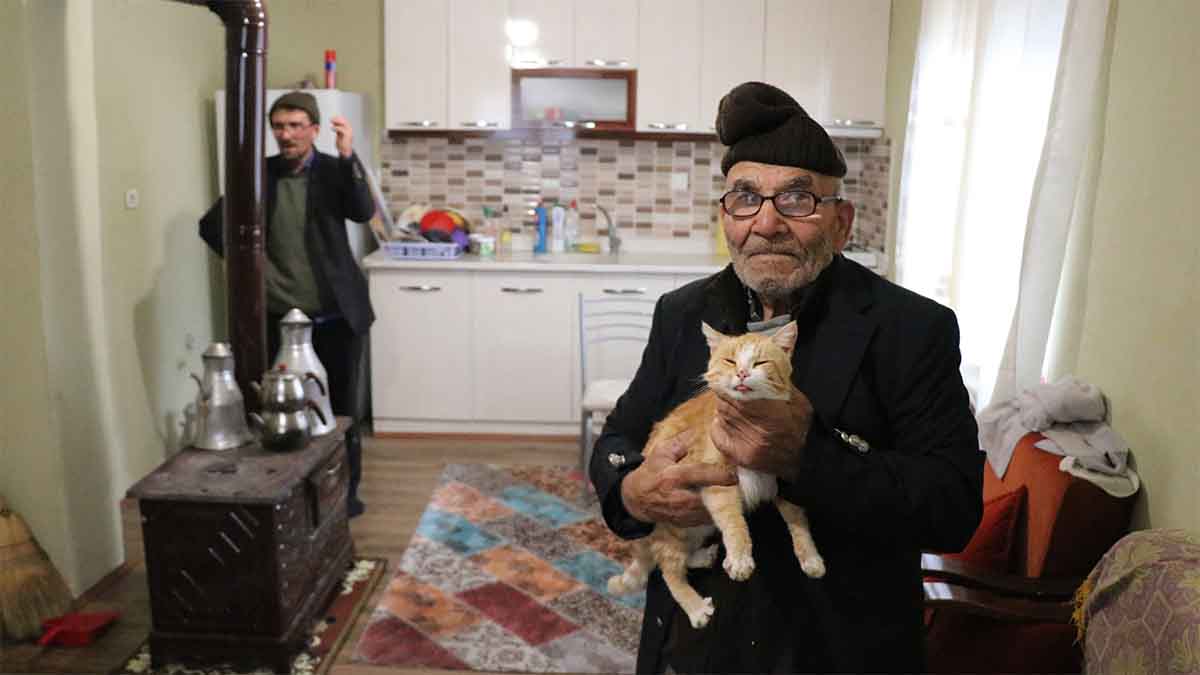 Ali Meşe Yangın Kedi