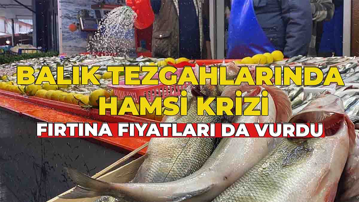 Balık Tezgahlarında Hamsi Krizi