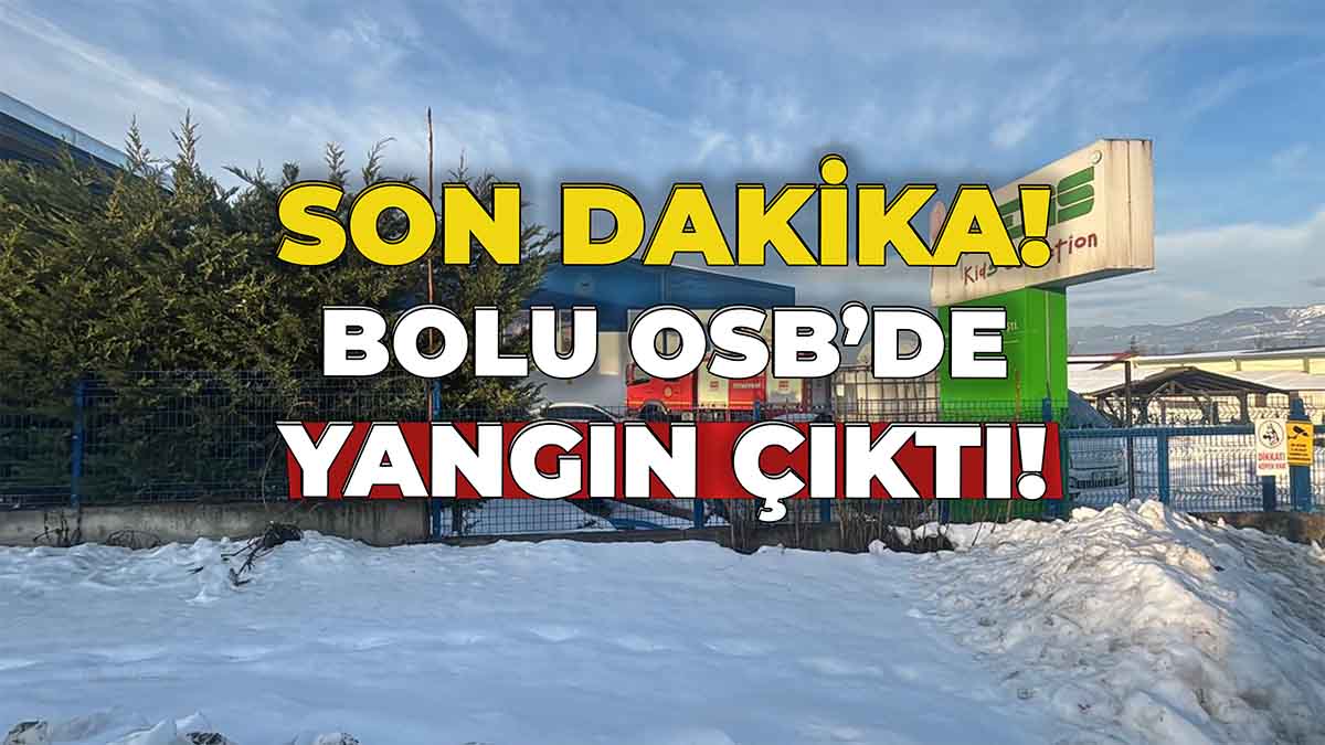 Bolu OSB’de Mobilya Fabrikasında Yangın Çıktı!