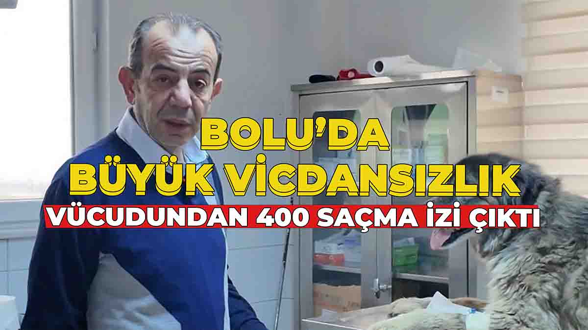 Bolu’da Büyük Vicdansızlık