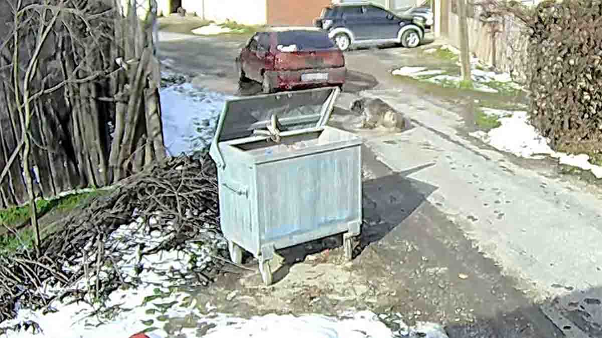 Bolu’da Büyük Vicdansızlık2