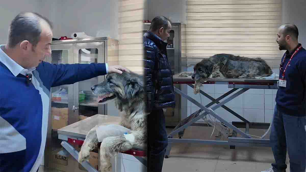 Bolu’da Büyük Vicdansızlık3