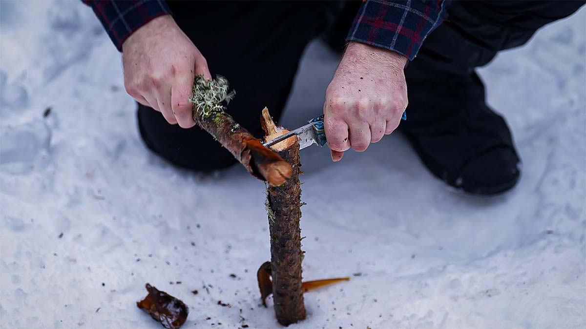 Bolu'da Hayatta Kalma Yarışı3