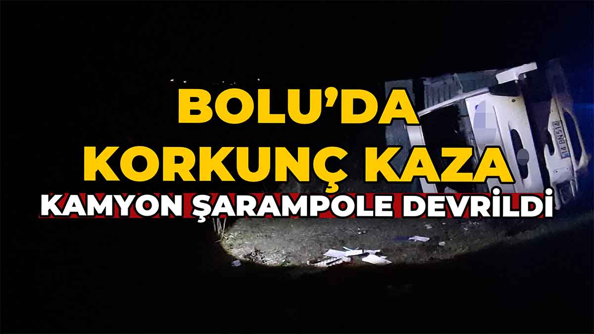 Bolu'da Kamyon Şarampole Devrildi