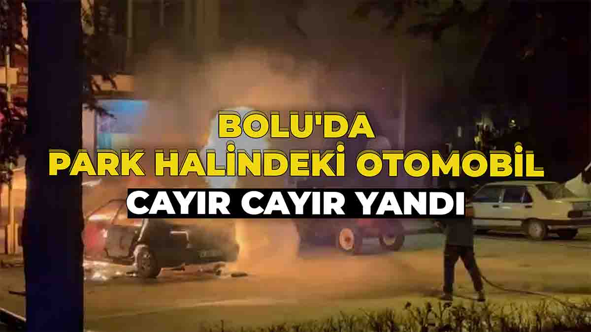 Bolu'da Park Halindeki Otomobil Cayır Cayır Yandı2