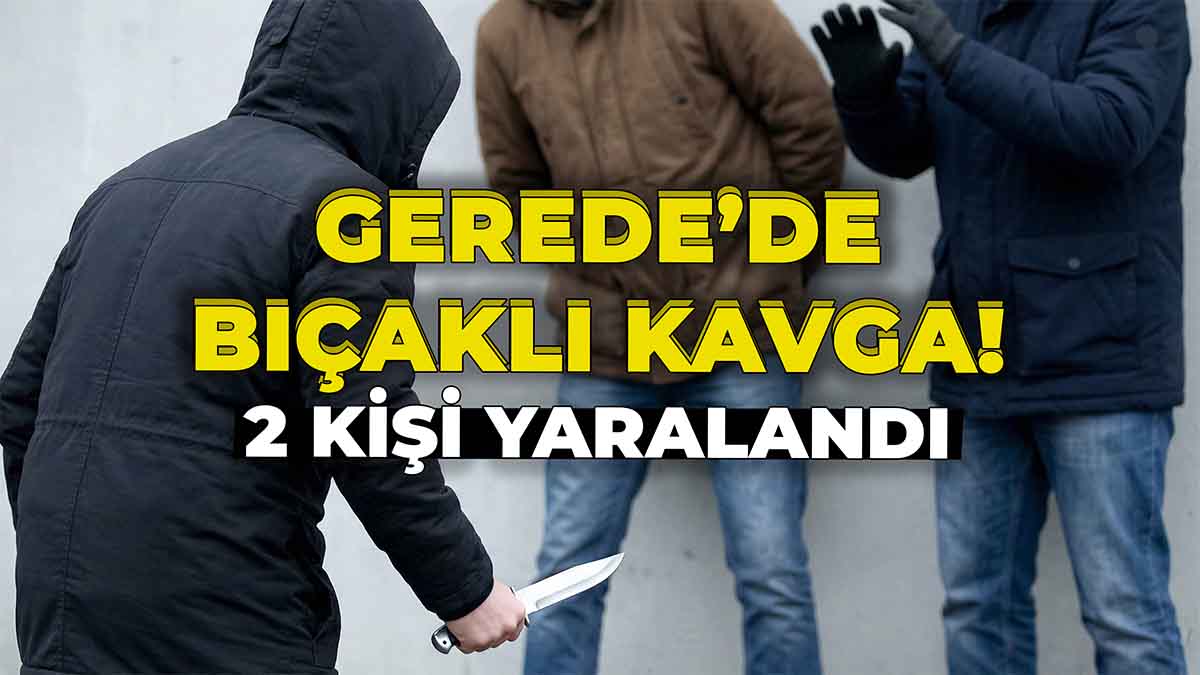 Gerede Bıçaklı Kavga2
