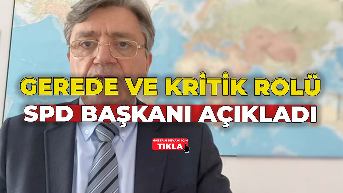 Gerede ve Kritik Rolü