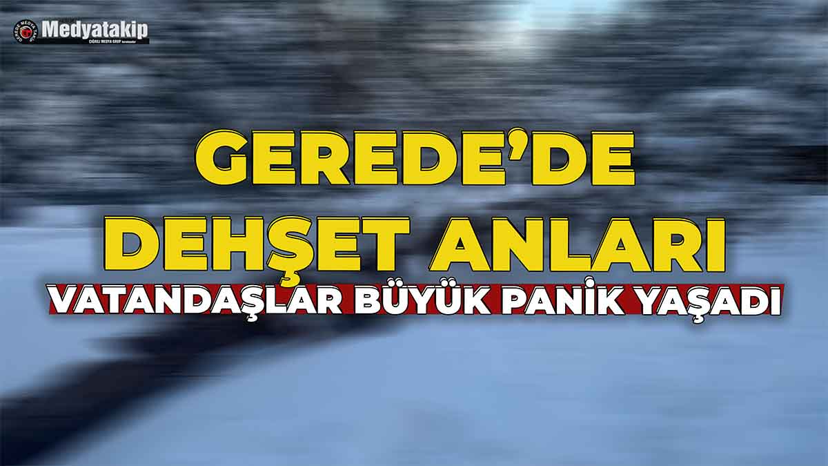 Gerede'de Dehşet Anları2