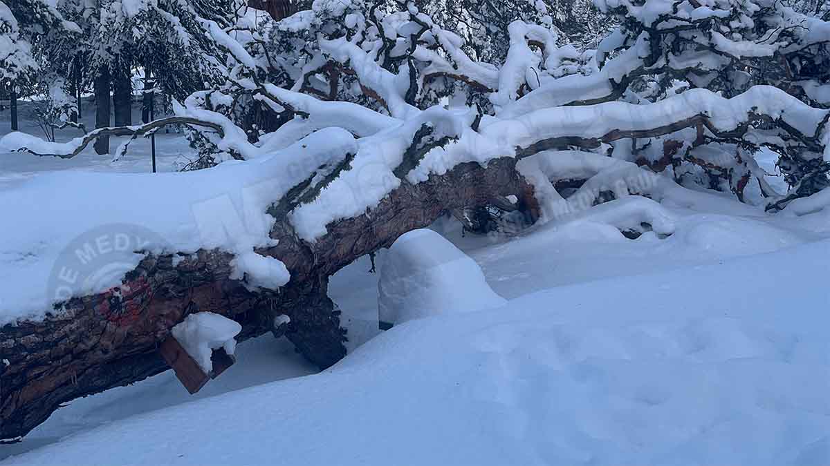 Gerede’de Dehşet Anları3