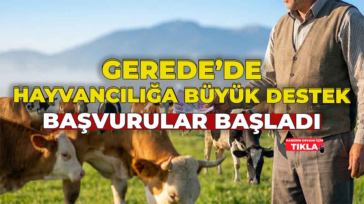 Gerede’de Hayvancılığa Büyük Destek