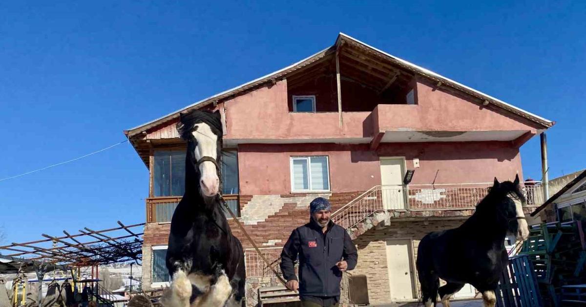 ankara cubukta dogayla ic ice yasiyor WV8136Qf.jpg