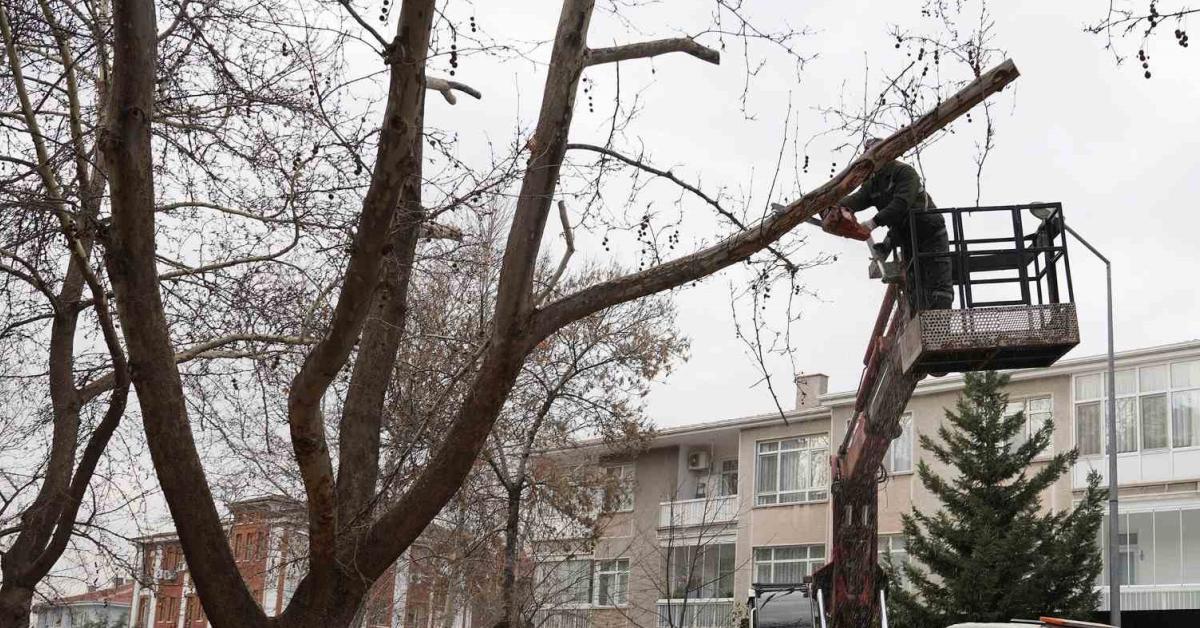 ankara keciorende yesil alani koruma calismalari devam ediyor Y99hZ2IG.jpg