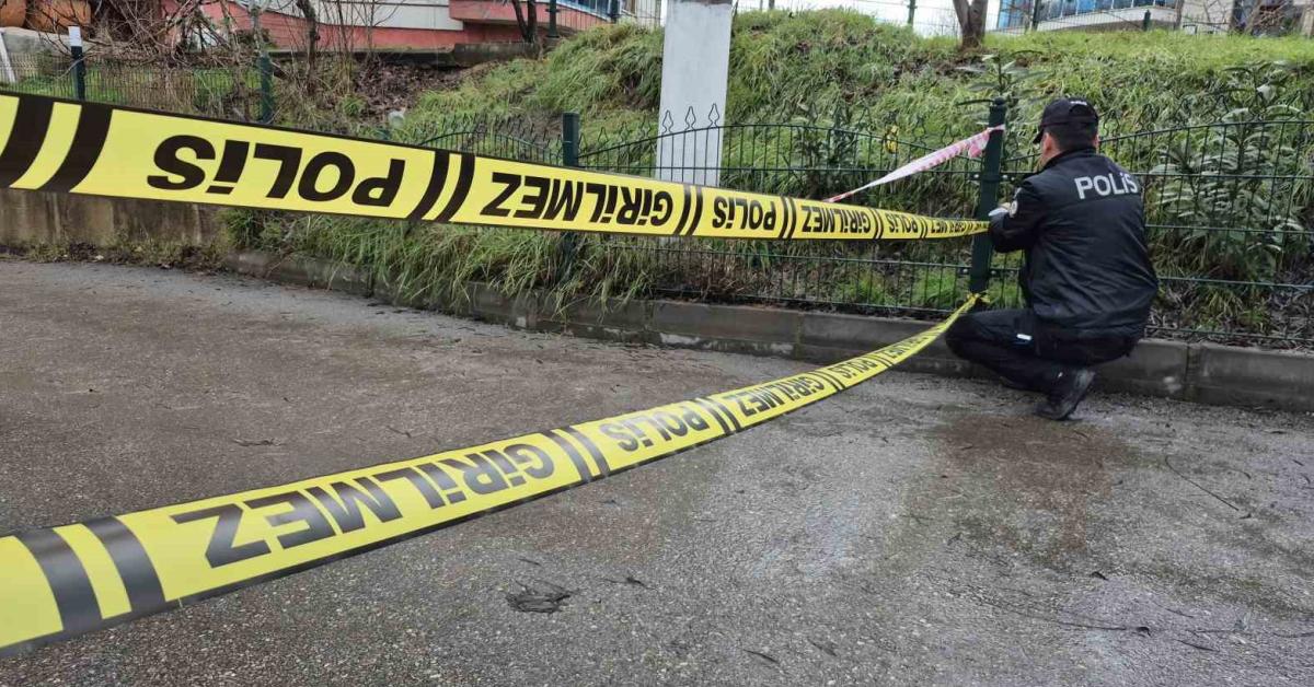 bartinda yagmur ve kar nedeniyle irmak tasti sgedvuLc.jpg