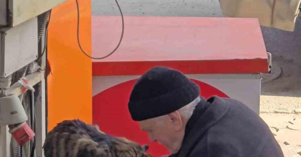 karabuk safranboluda yasli adamin sokak kedilerine sefkati yurek isitti AKEDKNSg.jpg