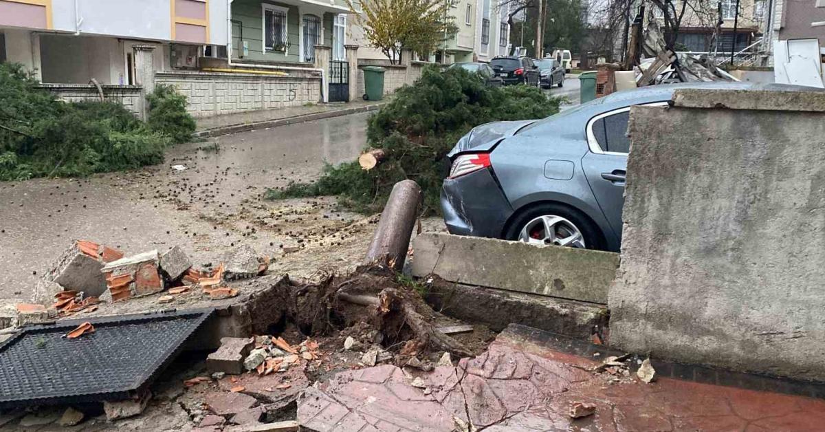 kocaeli korfezde devrilen agac arabanin uzerine dustu JBAaGAQz.jpg