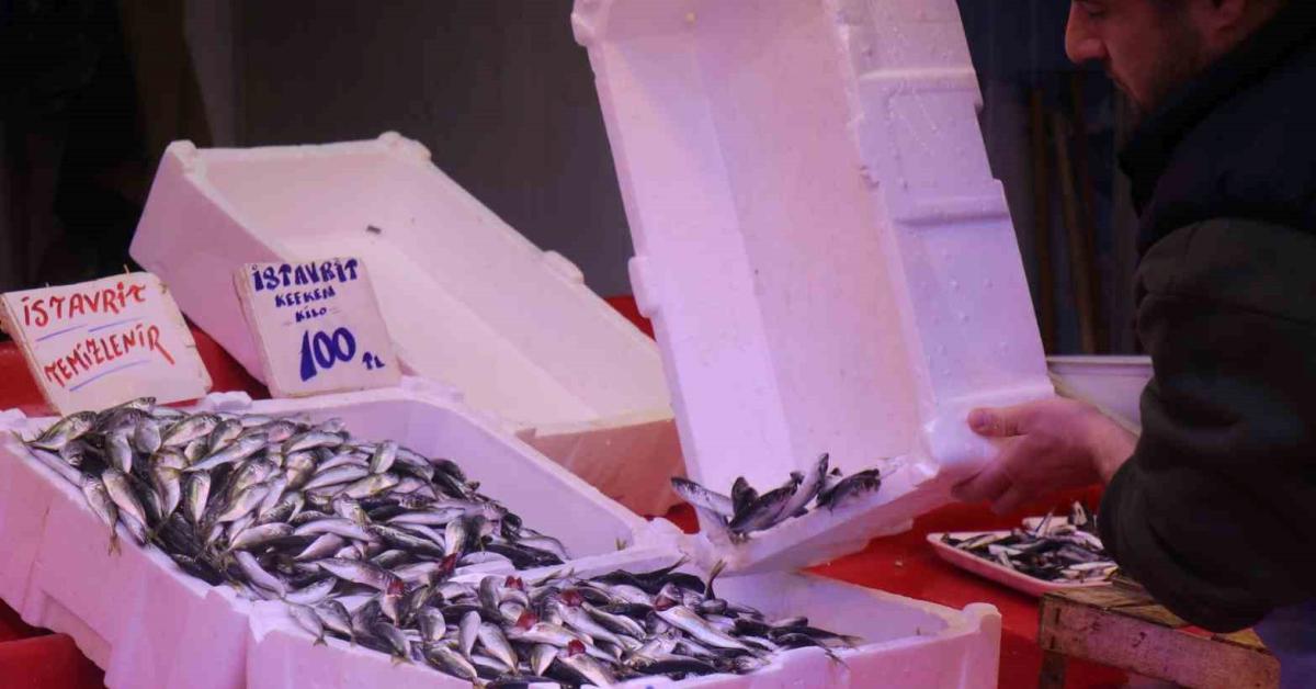 sakaryada istavrit bollugu yasaniyor 75kxH4bH.jpg