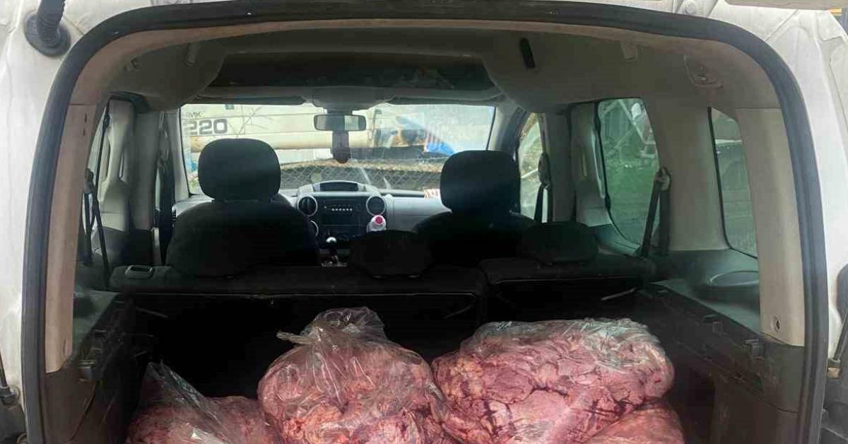 zonguldakta bozuk et skandali 450 kilogram et imha edildi SiicFpcr.jpg