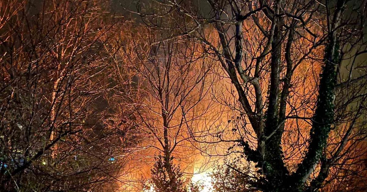 zonguldakta korkutan agac yangini HzRZY5ZB.jpg