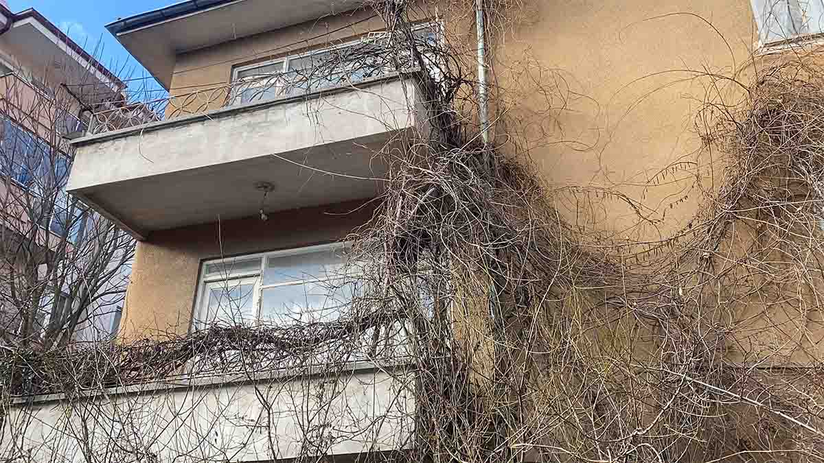 Bolu'da Akılalmaz Olay2