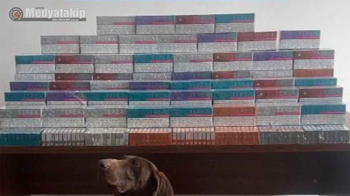 Bolu’da Büyük Operasyon4