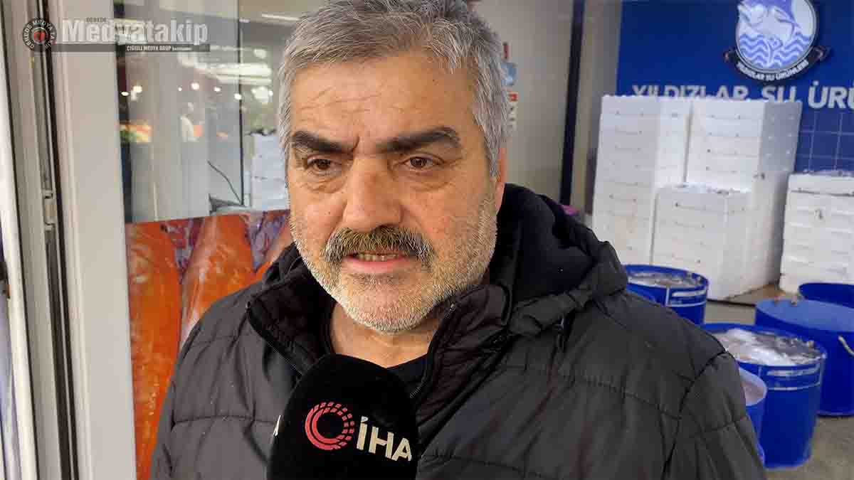 Bolu’da Hamsi Bolluğu2