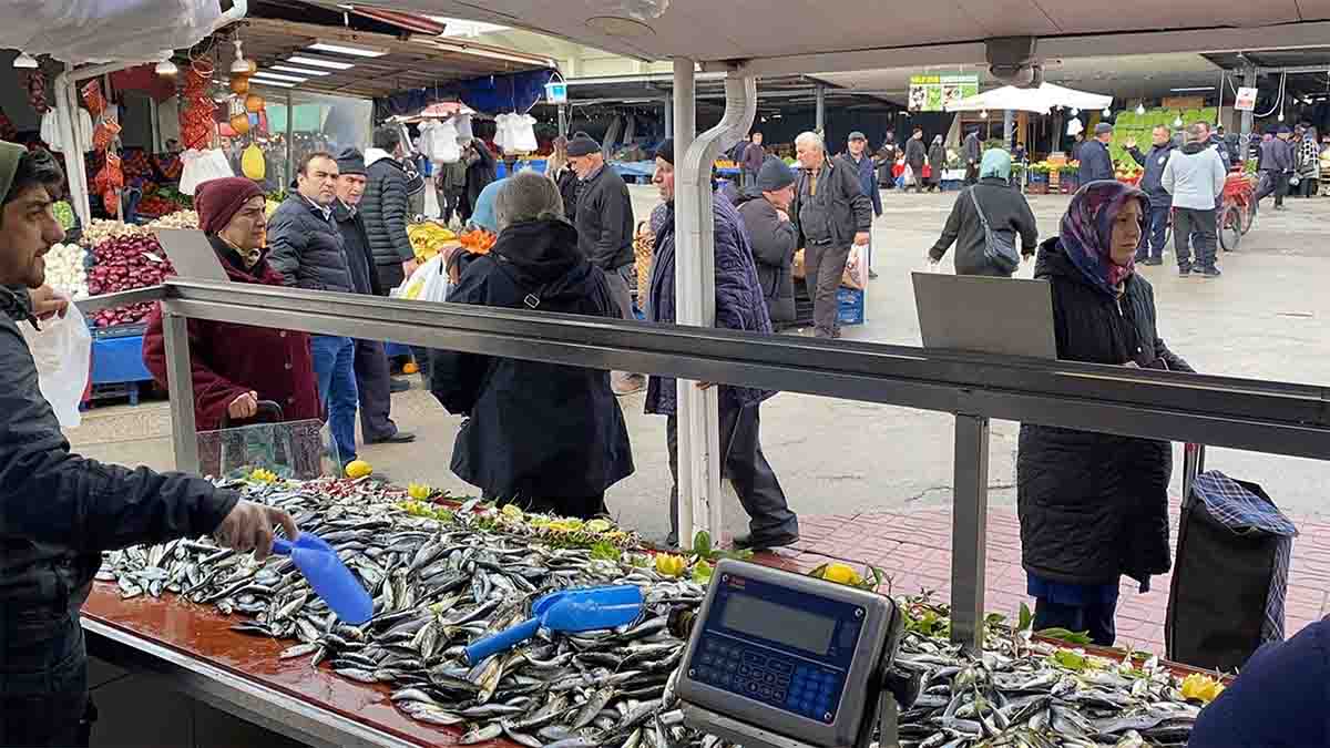 Bolu’da Hamsi Tezgahlardan Yine Yok Oldu