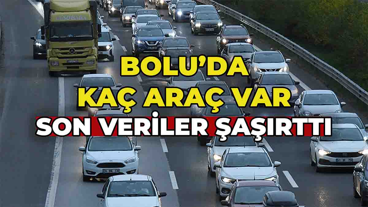 Bolu’da Kaç Araç Var?