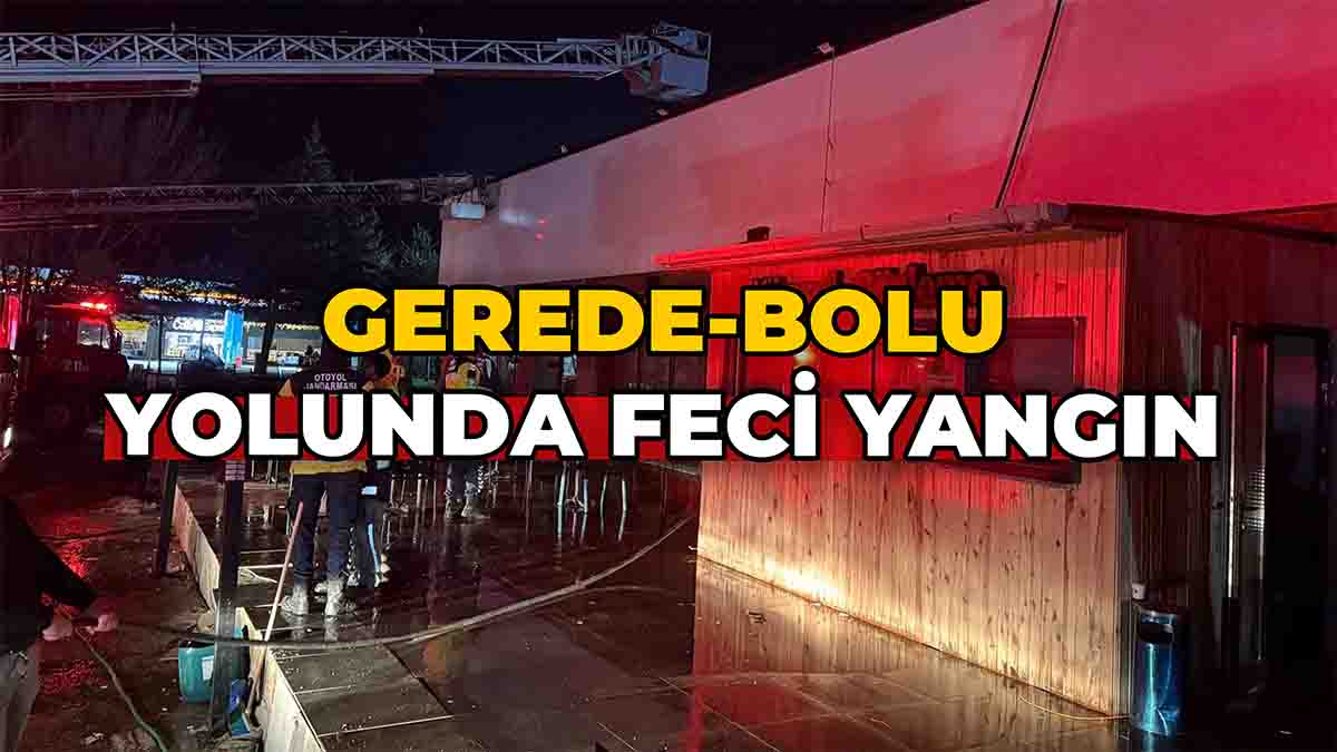 Gerede Bolu Yolunda Feci Yangın