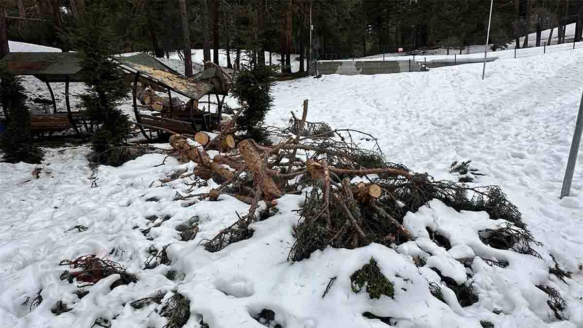 Gerede Esentepe Çardak