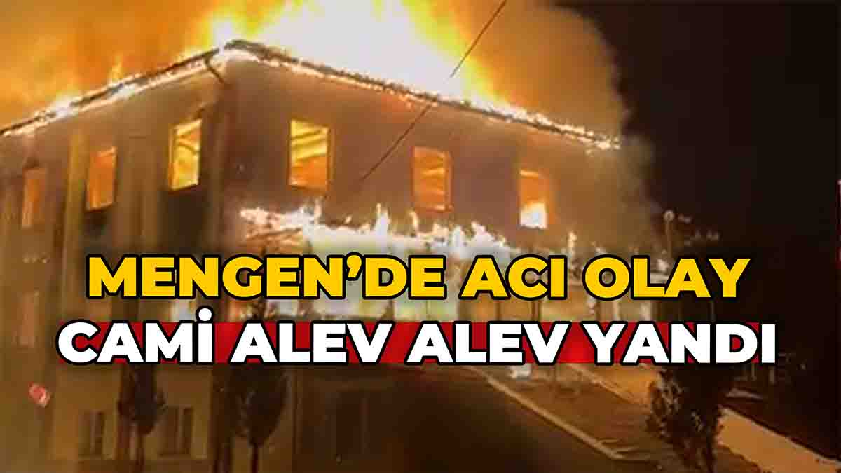 Mengen'de Acı Yangın