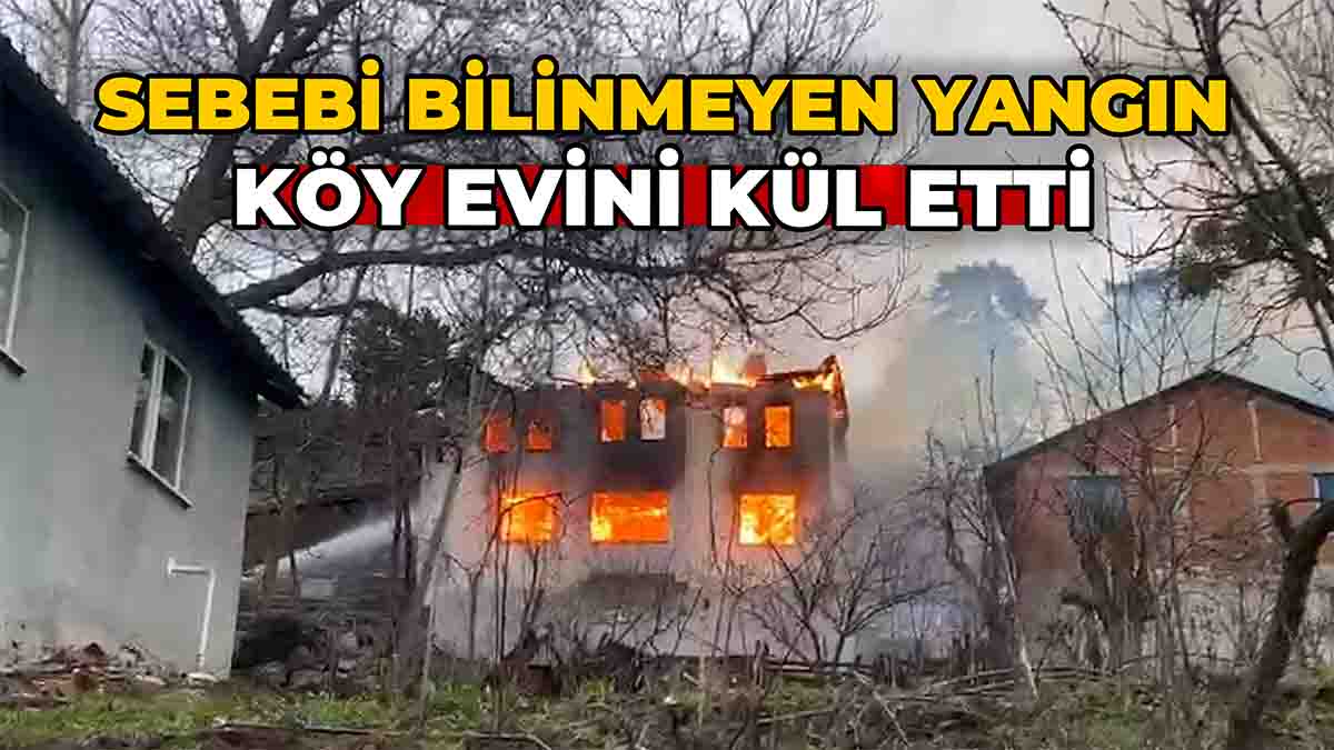 Sebebi Bilinmeyen Yangın Köy Evini Kül Etti