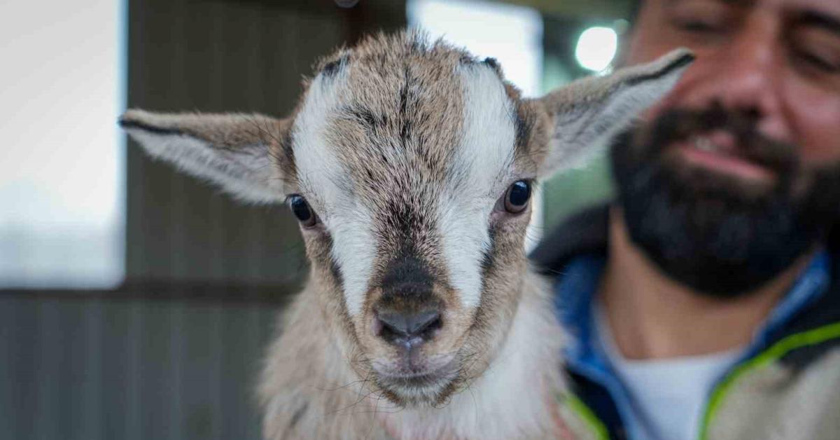 ankara ayasta hobi amacli basladi simdi 80i gecti nm1Hyxqn.jpg